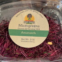 Baby Chavs Pink Amaranth Microgreens
