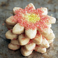 Macrina Bakery Brown Sugar Shortbread Cookies