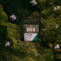 Caffe Vita Whole Bean Coffee