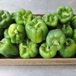 Hedlin Farm Organic Green Bell Peppers