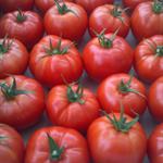 Hedlin Farm Organic Beefsteak Tomatoes