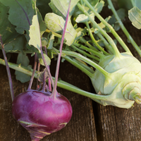 The Crows Farm Organic Kohlrabi