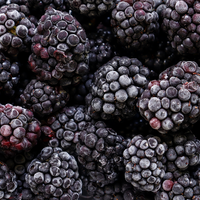 Sidhu Farms Organic Frozen Berries
