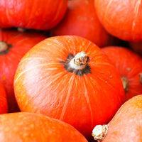 Hedlin Farms Organic Scarlet Kabocha Squash