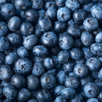 Sidhu Farms Organic Fresh Blueberries