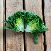 Spring Time Farm Little Red Gem Lettuce