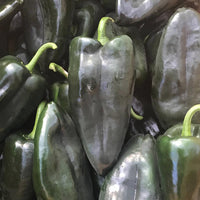 Hedlin Farm Organic Poblano Peppers