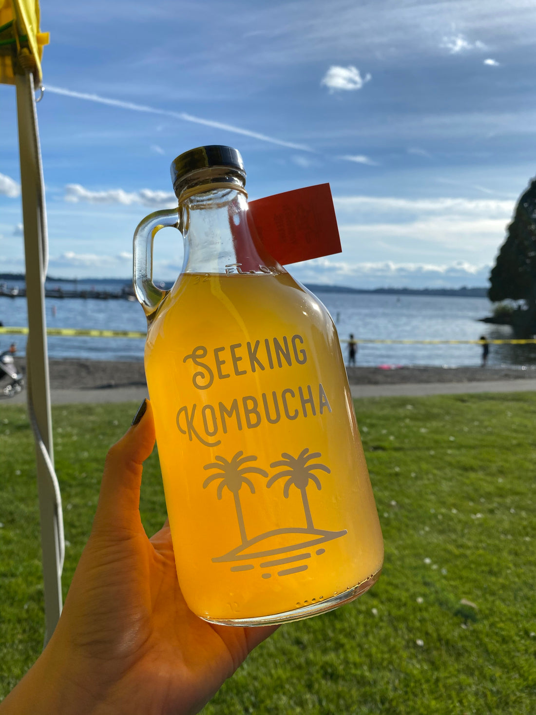 Seeking Ferments