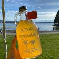 Seeking Ferments