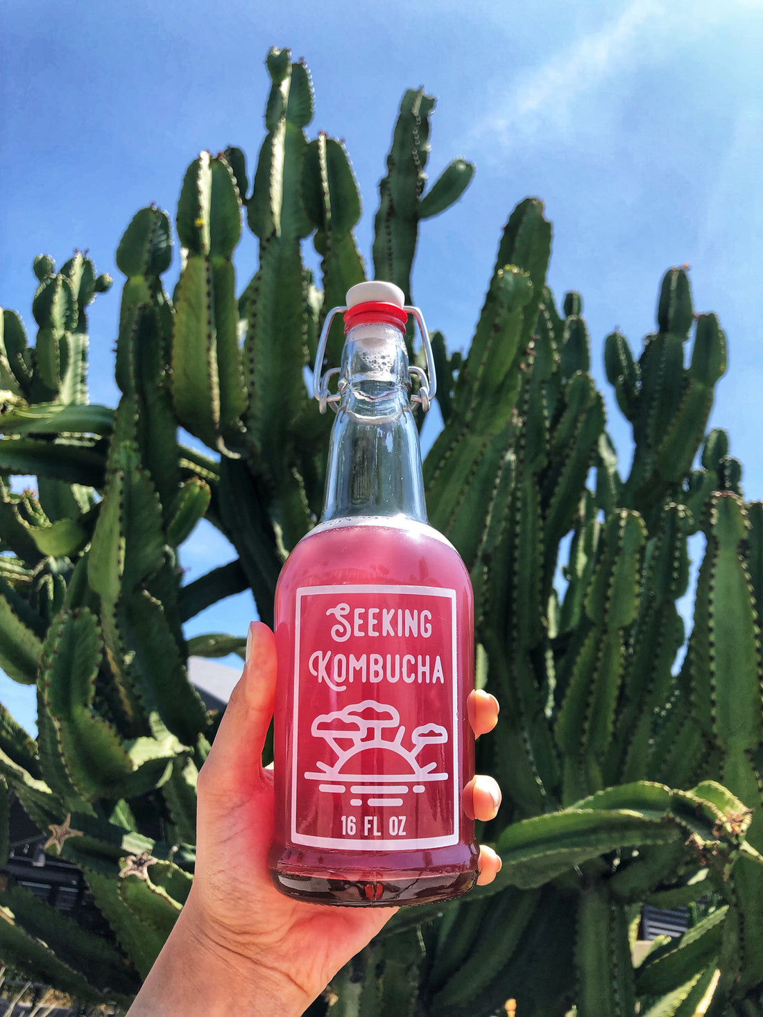 Seeking Ferments