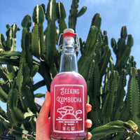 Seeking Ferments