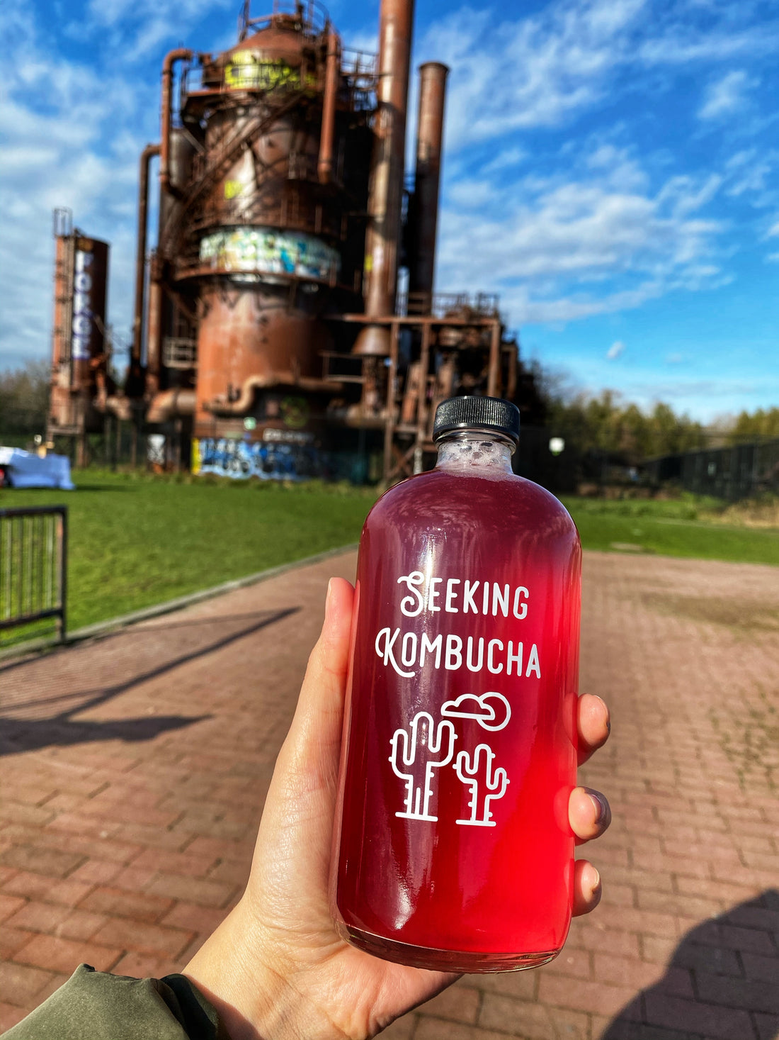 Seeking Ferments