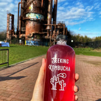 Seeking Ferments