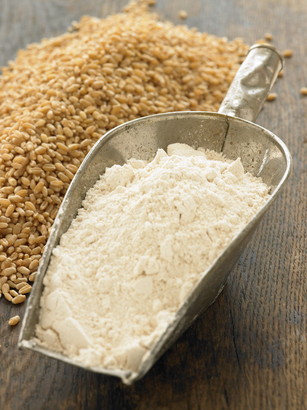 Bluebird Grain Farms Organic Pasayten Hard White Flour