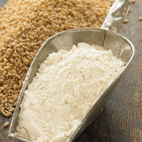 Bluebird Grain Farms Organic Pasayten Hard White Flour