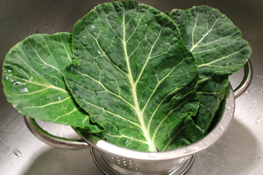 Foothills  Farm Organic Collards