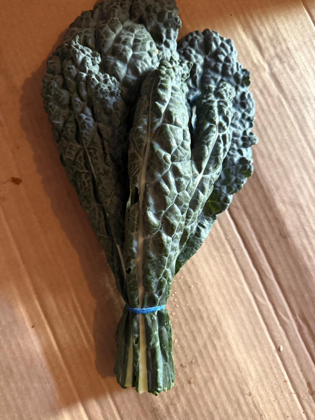 Aash Farms Organic Lucinato Kale