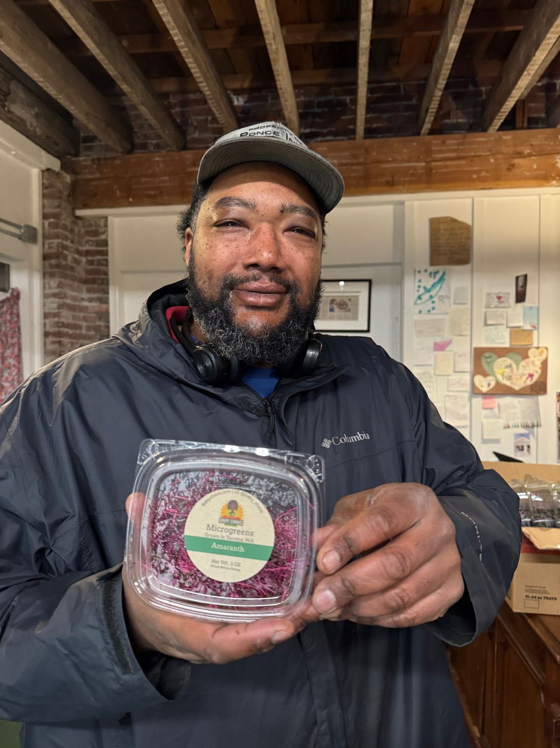 Baby Chavs Pink Amaranth Microgreens