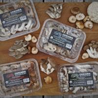 Cascadia Mushrooms Petite Shiitake Mushrooms