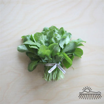 Boldly Grown Organic Baby Arugula