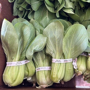 Boldly Grown Organic Baby Bok Choy