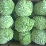 Ralph's Greenhouse Organic Savoy Cabbage