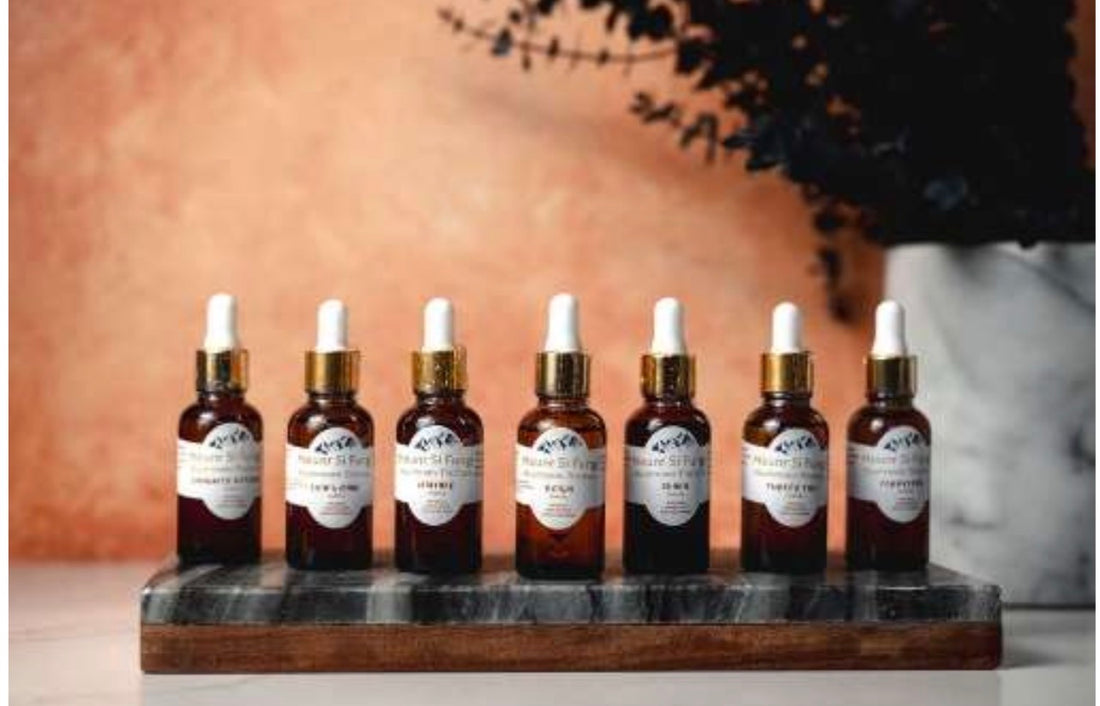 The Funghi Kitchen-Immunity Defense Tincture
