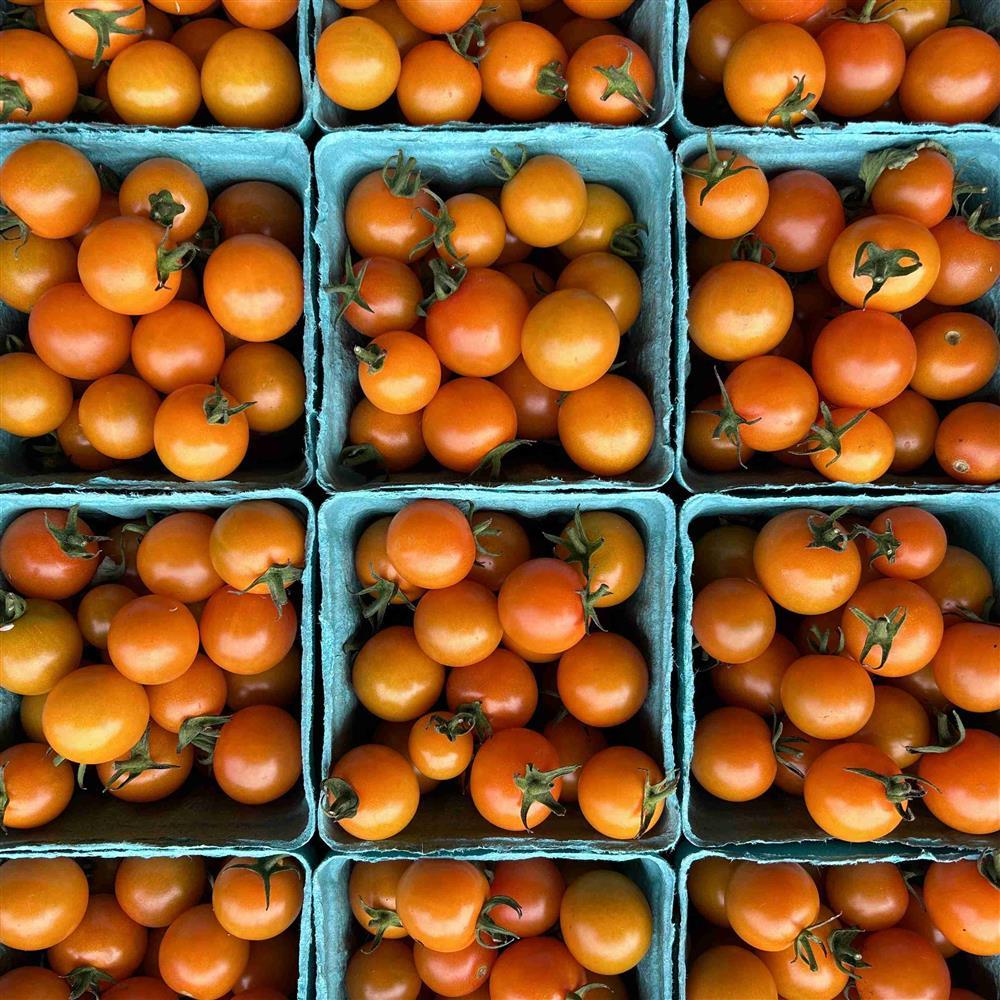Four Elements Farm Organic Sungold Cherry Tomatoes
