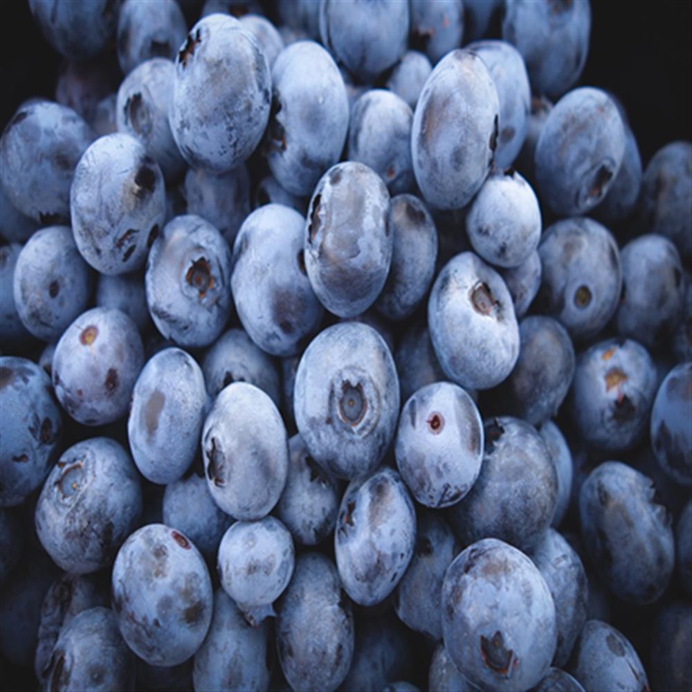 Silva Family Farm Organic Frozen Blueberries