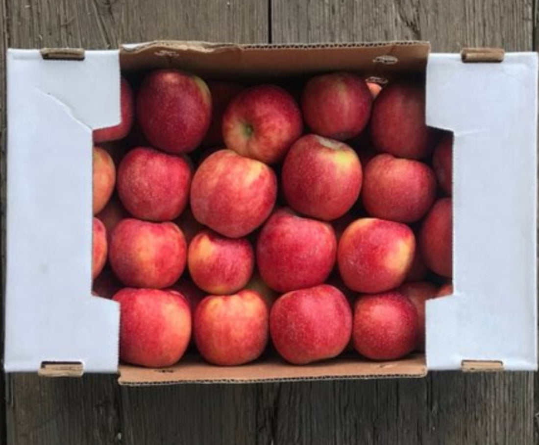 Collins Family Orchards Juici Apples