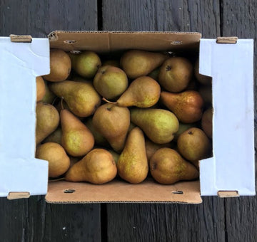 Collins Family Orchards Organic Bosc Pears