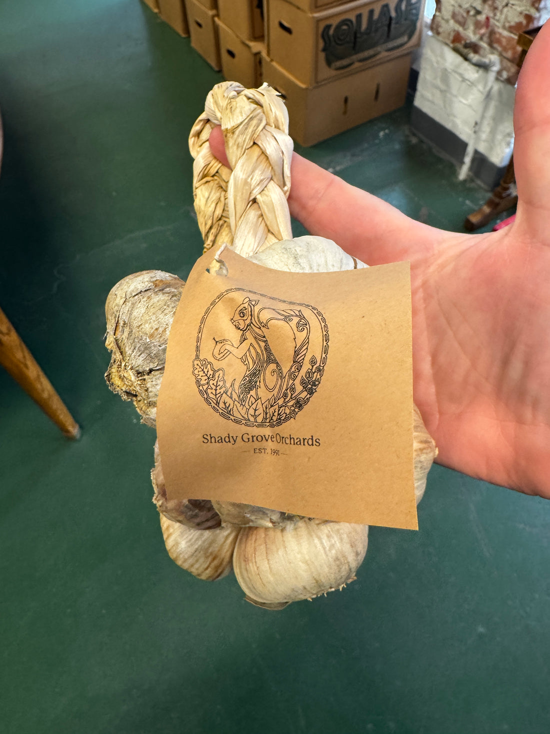 Shady Grove Garlic Braid