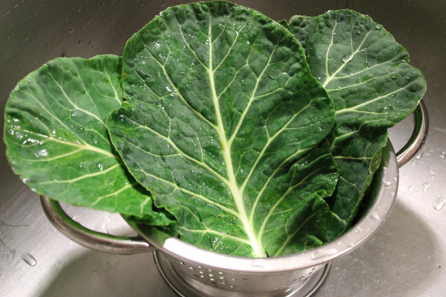 Foothills Farm Organic Collard Greens