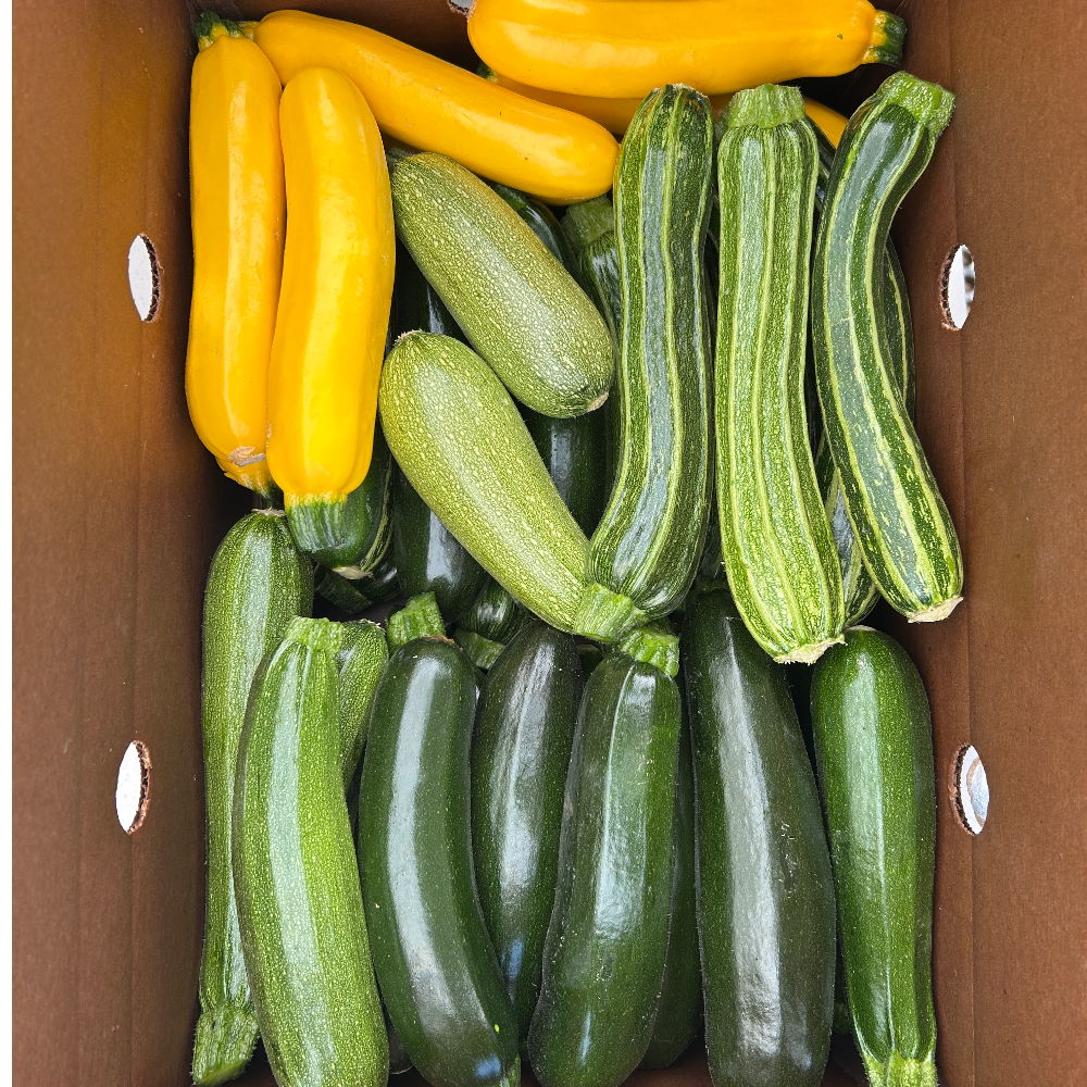 Hedlin Farm Organic Mixed Summer Squash
