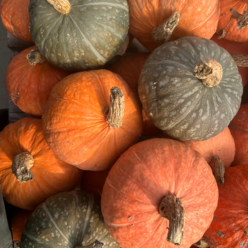 Hedlin Farms Organic Scarlet Kabocha Squash