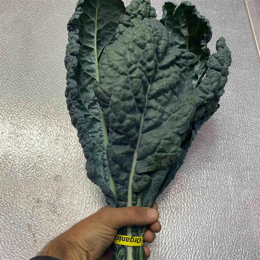 The Crows Farm Lucinato Kale