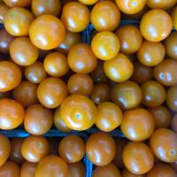 Pure Nelida Farm Organic Sungold Cherry Tomatoes