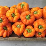 Regino Farm Organic Bell Peppers