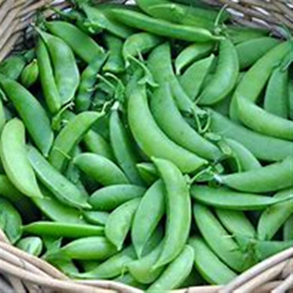 Viva Farms Organic Sugar Snap Peas