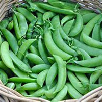 Viva Farms Organic Sugar Snap Peas