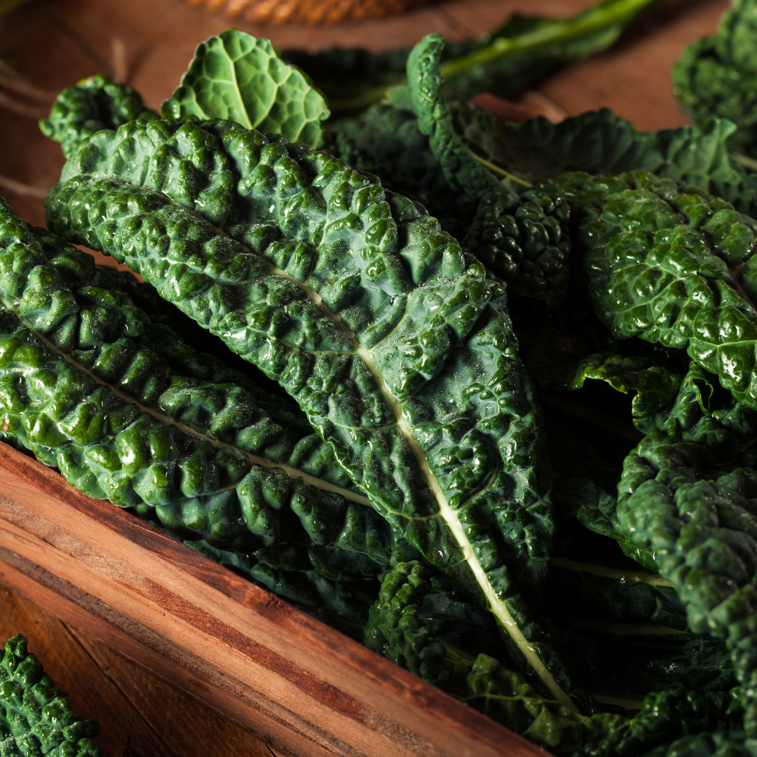 Boldly Grown Farm Organic Lucinato Kale Raab