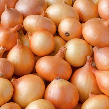 Boldly Grown Yellow Onions