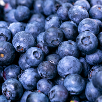 Bow Hill Organic Blueberries