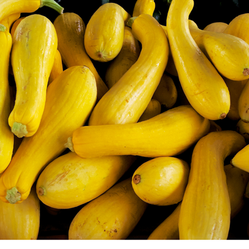 Pure Nelida Farm Crookneck Squash