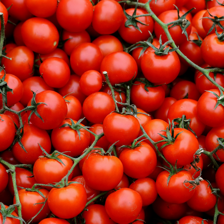 Regino Farms Organic Cherry Tomatoes