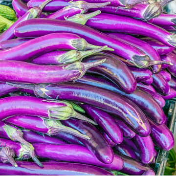 Alvarez Organic Farms Organic Japanese Eggplant