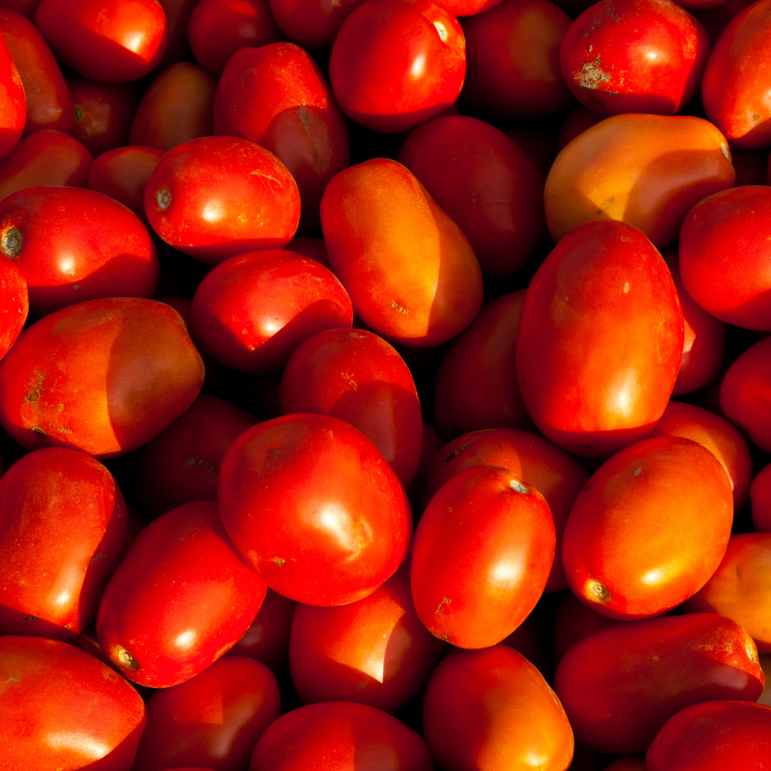 Alvarez Organic Farms Organic Roma Tomatoes