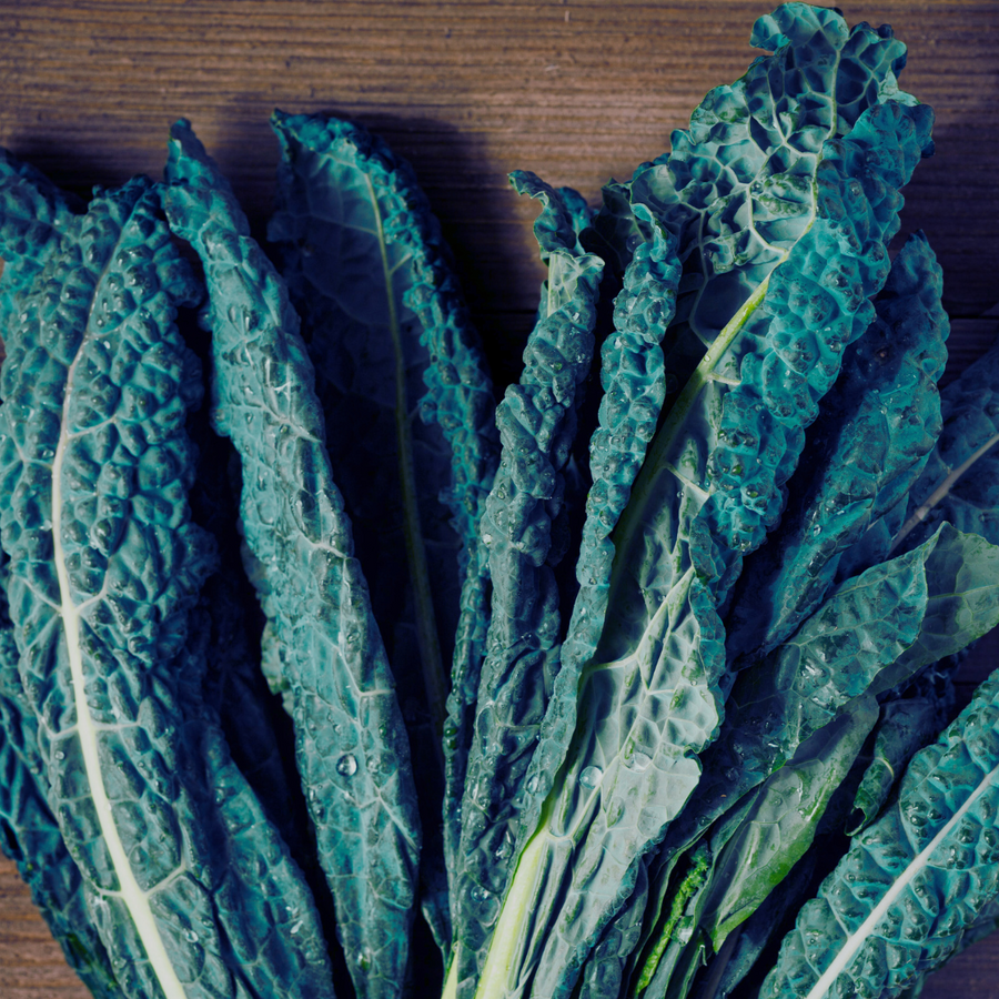 Foothills Farm Organic Dazzling Blue Kale