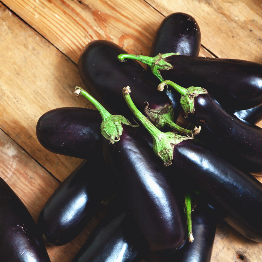 Alvarez Organic Farms Black Beauty Eggplant