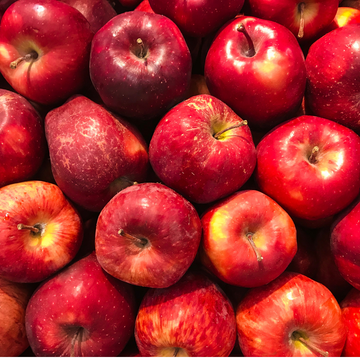 Bellewood Farms Gravenstein Apples